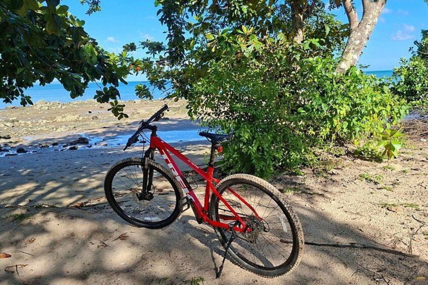 Ein rotes Mountainbike steht auf einem sandigen Strand, im Hintergrund sind Bäume und das Meer zu sehen. 5