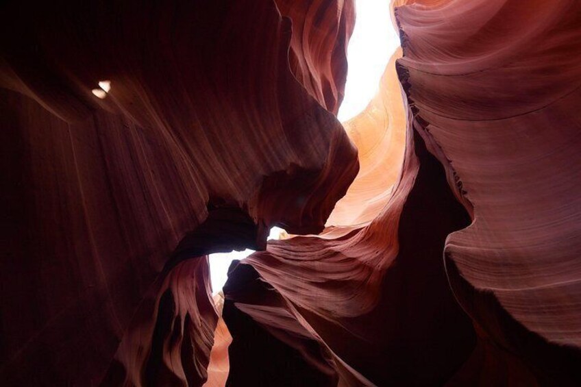 Private Antelope Canyon Horseshoe Bend Tour 5
