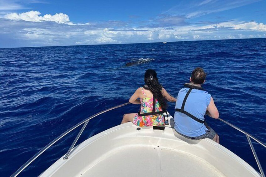 Two people on a boat in the ocean, looking at a shark in the distance. 3