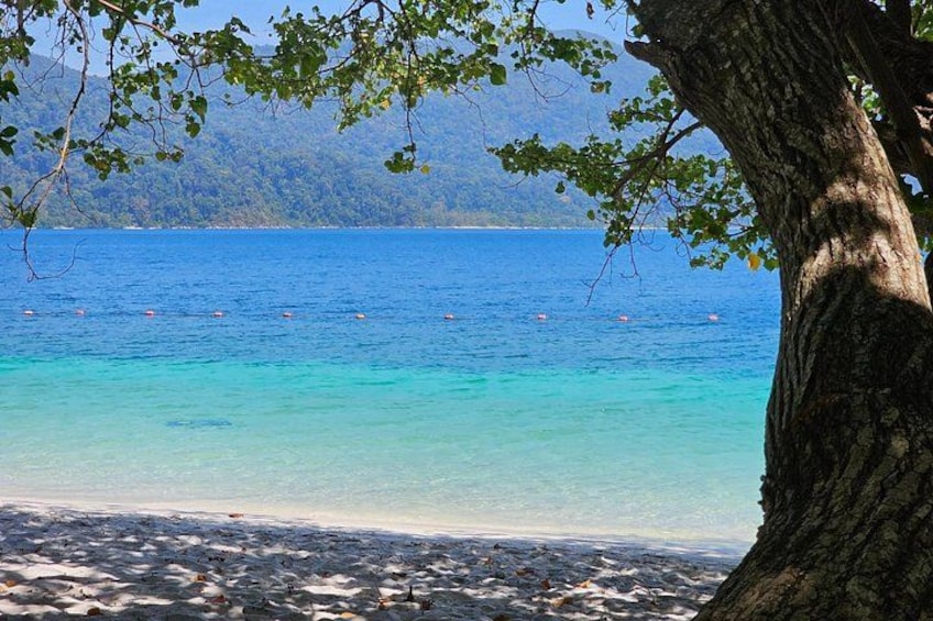 A beach with clear turquoise water, a tree trunk, and a distant shoreline. 3