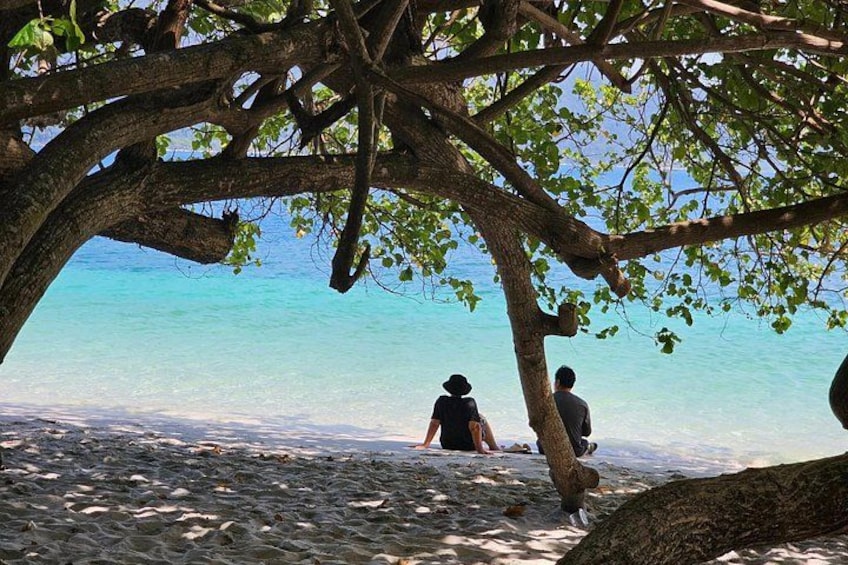 A beach with people sitting under a tree, a calm sea, and clear skies. 4