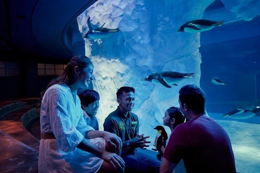 Bird Paradise Singapore Tickets 2