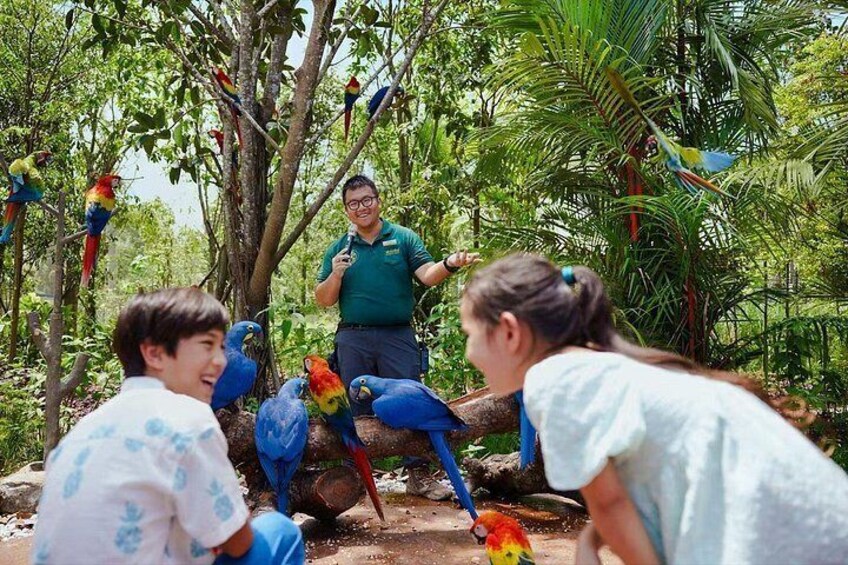 Bird Paradise Singapore Tickets 2