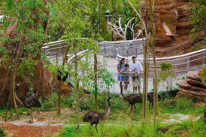 Bird Paradise Singapore Tickets 3