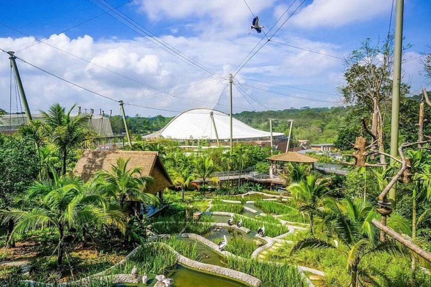 Bird Paradise Singapore Tickets 4
