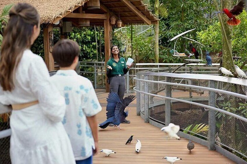 Bird Paradise Singapore Tickets 5