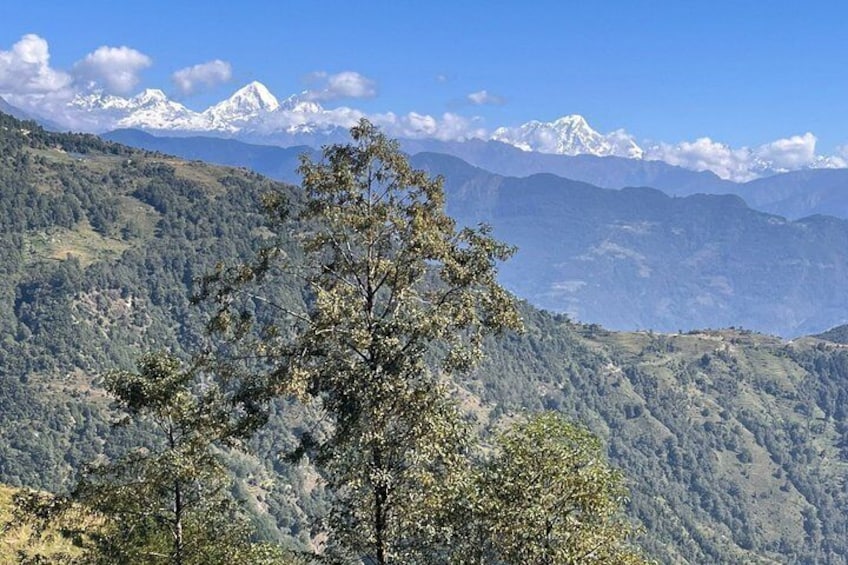 A mountainous landscape with a prominent tree in the foreground and snow-capped peaks in the background. 3