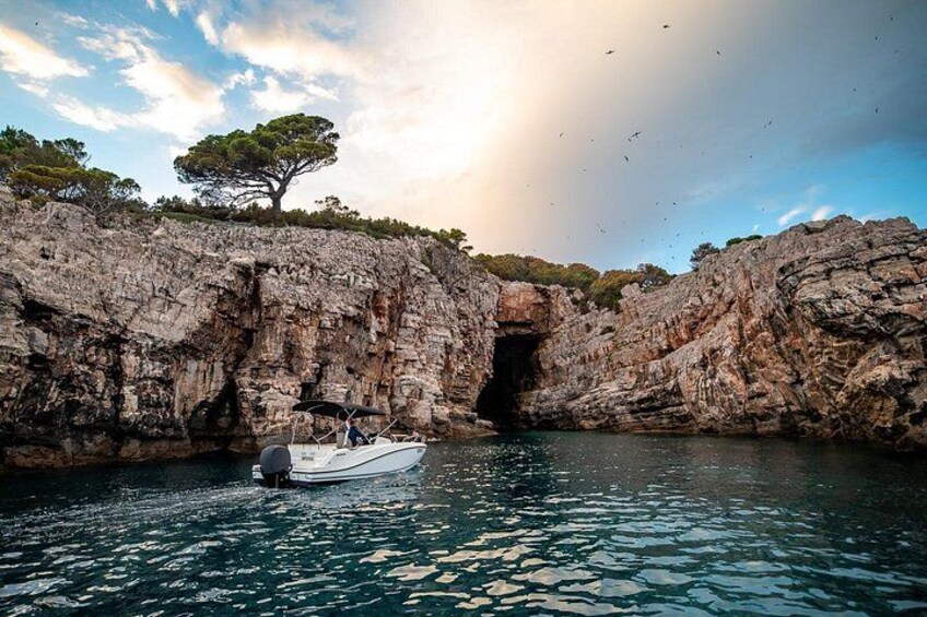 Private Elaphite Islands Speedboat Tour from Dubrovnik 5