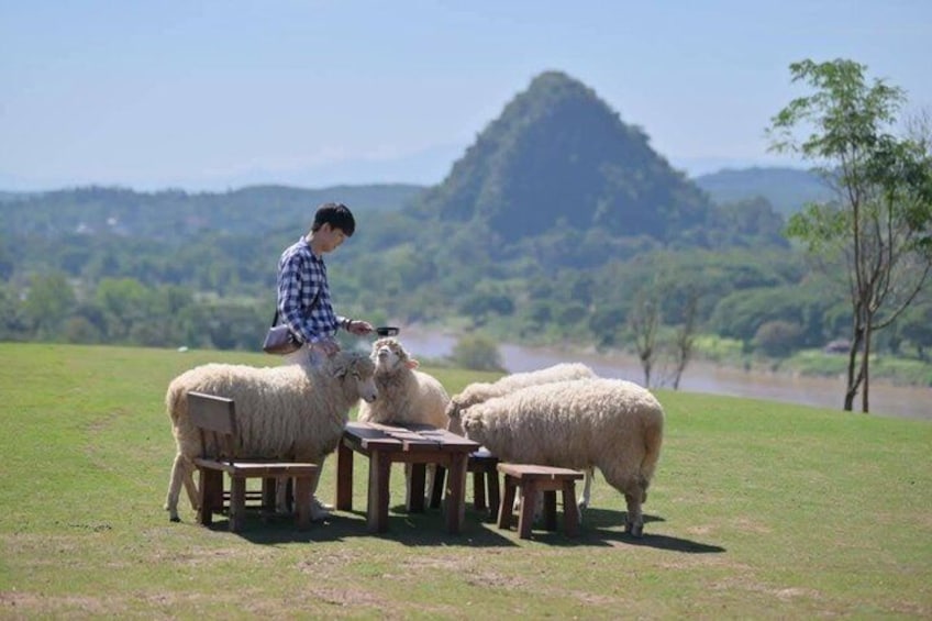 Customizable Private Day Tour of Chiang Rai Highlights 3