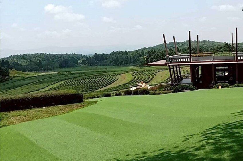 Customizable Private Day Tour of Chiang Rai Highlights 5