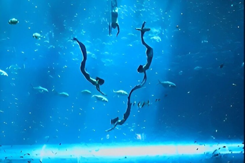 Escena submarina con figuras parecidas a sirenas nadando entre peces. 5