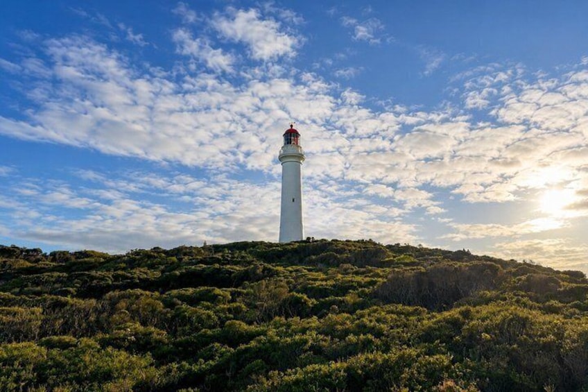 Great Ocean Road & 12 Apostles Private Tour | Your Own Guide 2