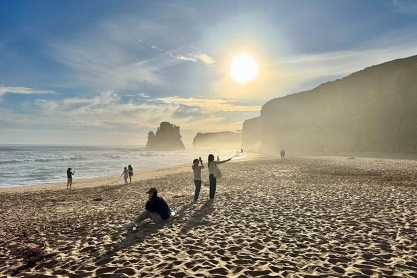 Great Ocean Road & 12 Apostles Private Tour | Your Own Guide 1
