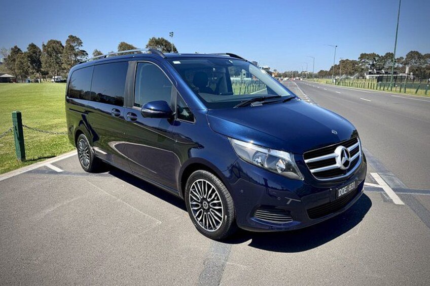 A dark blue Mercedes-Benz minivan parked on a road with a grassy area and trees in the background. 2
