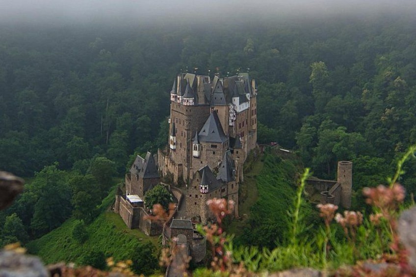 A castle surrounded by dense forest. 4