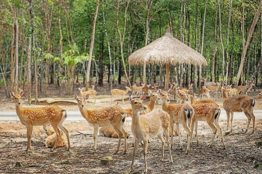 Vinpearl Phu Quoc vietnam World of Relaxation Fun and Discovery 5