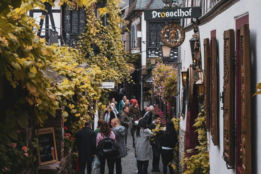 A narrow street with people walking, a sign reading 'Drosselhof,' and ivy-covered buildings. 1