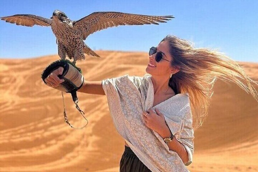A person holding a falcon in a desert. 5