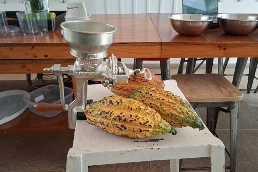 A food preparation area with a meat grinder and two pieces of meat on a white table. 1