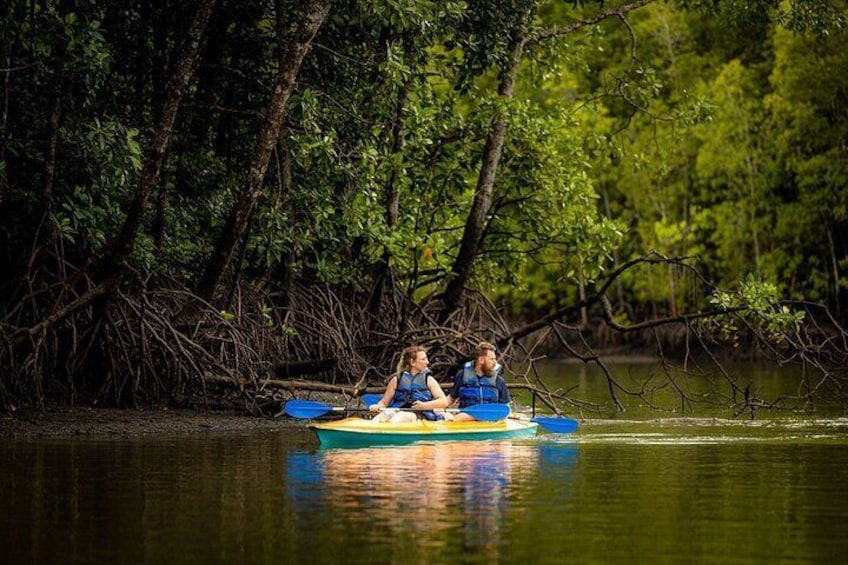 Two people kayaking on a calm river surrounded by dense forest. 1