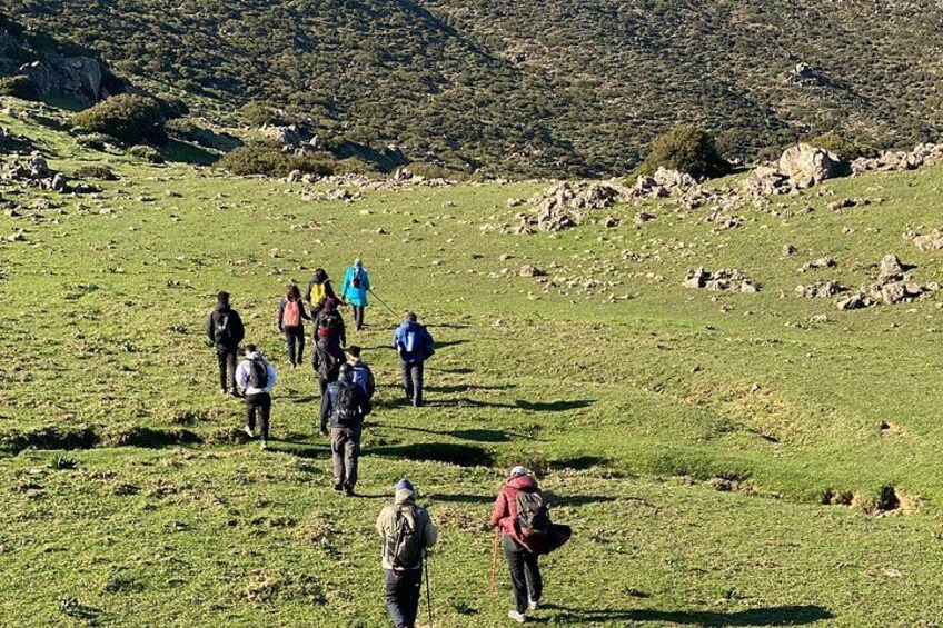 A group of hikers walking on a grassy hillside with rocky terrain and sparse vegetation. 2