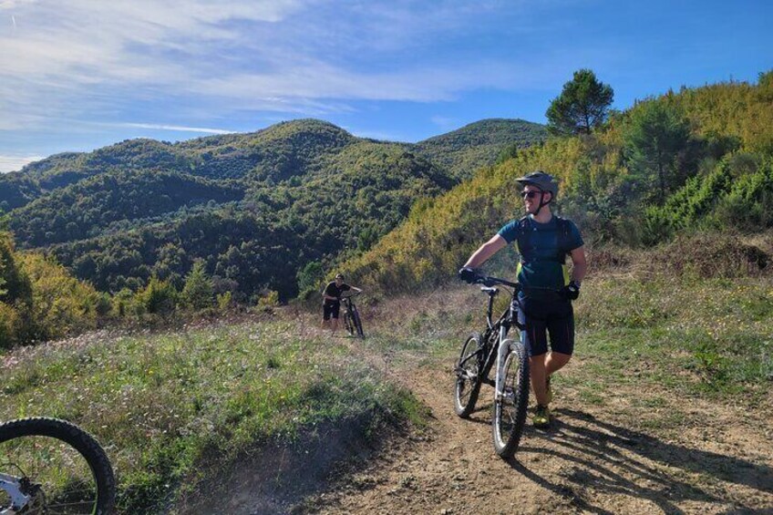 A mountain biker on a trail with a forested backdrop. 5