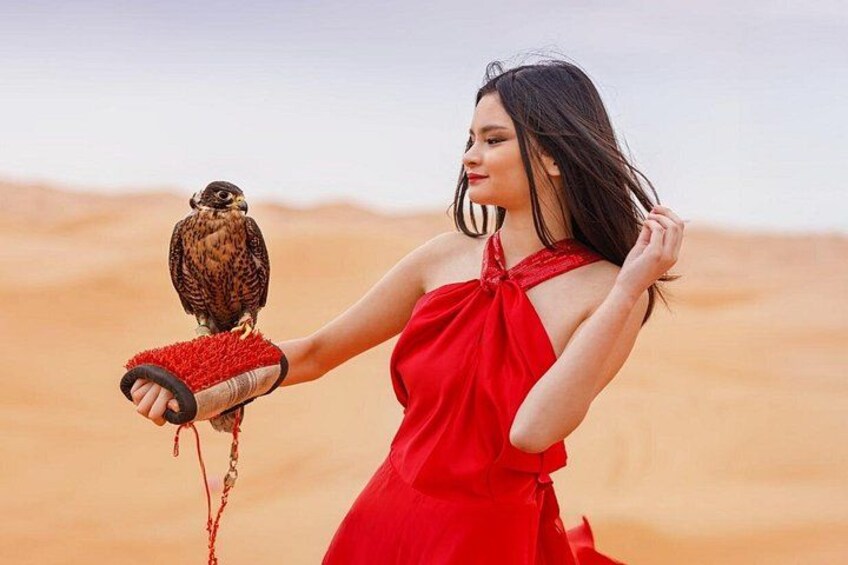 Falcon Photo 4