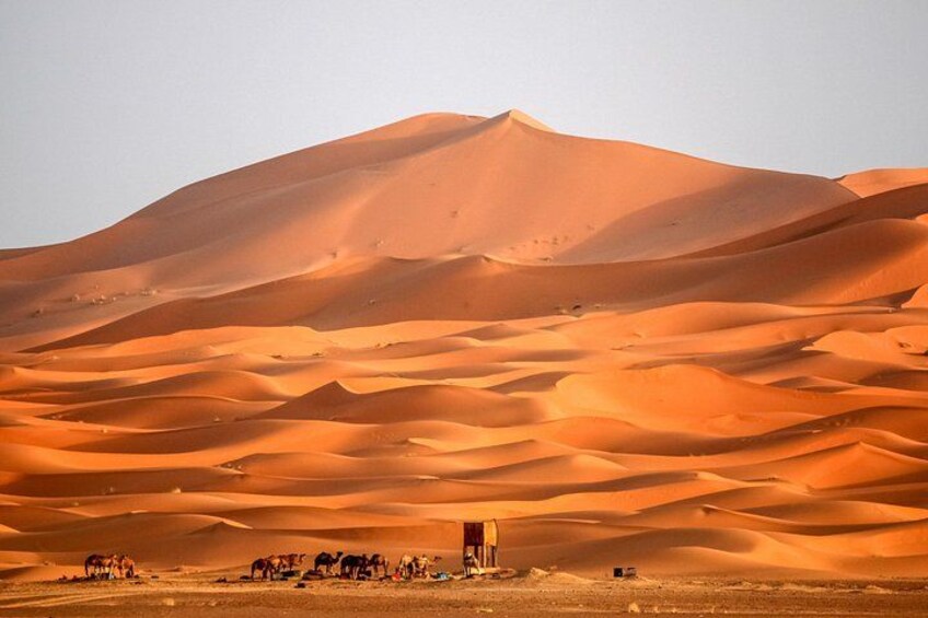 3 Days Desert Tour from Errachidia to Merzouga 3