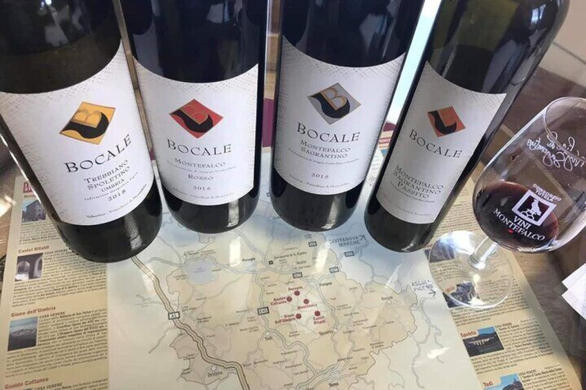 Tasting Selection of 4 wines in Montefalco 