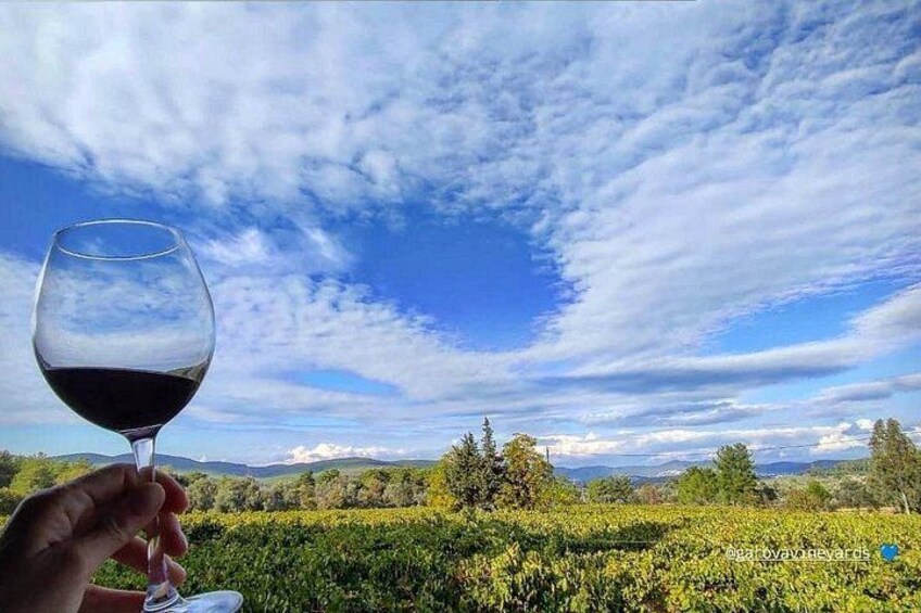 A hand holding a wine glass with a vineyard and a blue sky with clouds in the background. 4