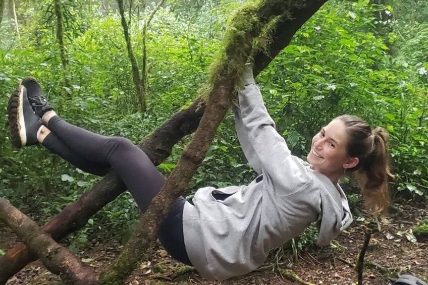 En person som klättrar i ett mosstäckt träd i en skog. 4