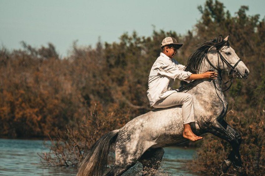 A person riding a white horse with a rider's hat, in a natural setting with trees and water. 4
