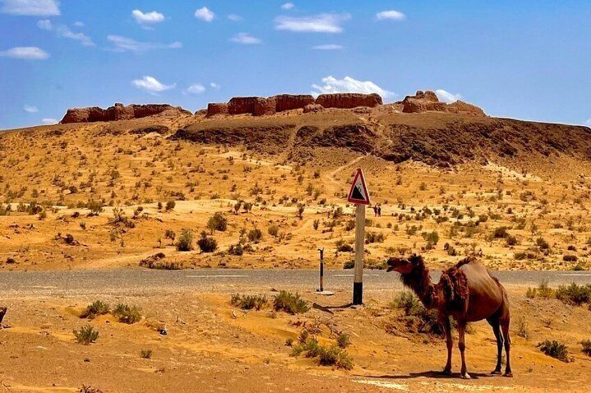 A desert landscape with a camel standing by a road, a triangular warning sign, and a mountain range in the background. 2