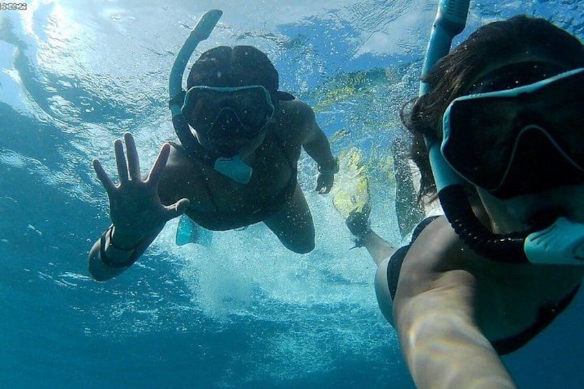 Sea Turtle Snorkel Tour 5