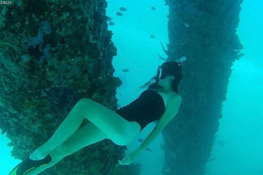 Sea Turtle Snorkel Tour 3