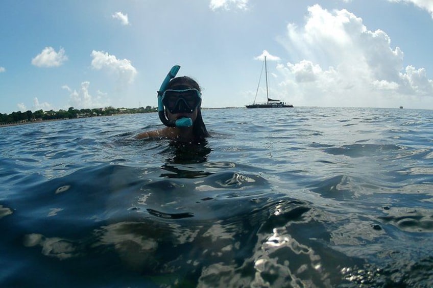 En person snorkler i klart, blåt vand med en sejlbåd i det fjerne. 4