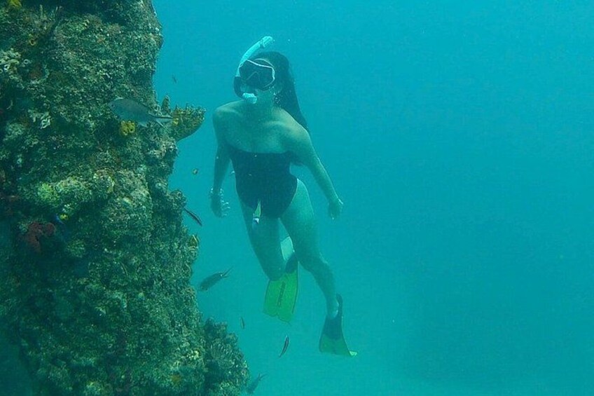 Sea Turtle Snorkel Tour 2