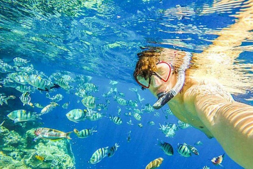 Glass Bottom Boat & Snorkeling Tour in Puerto Plata 4