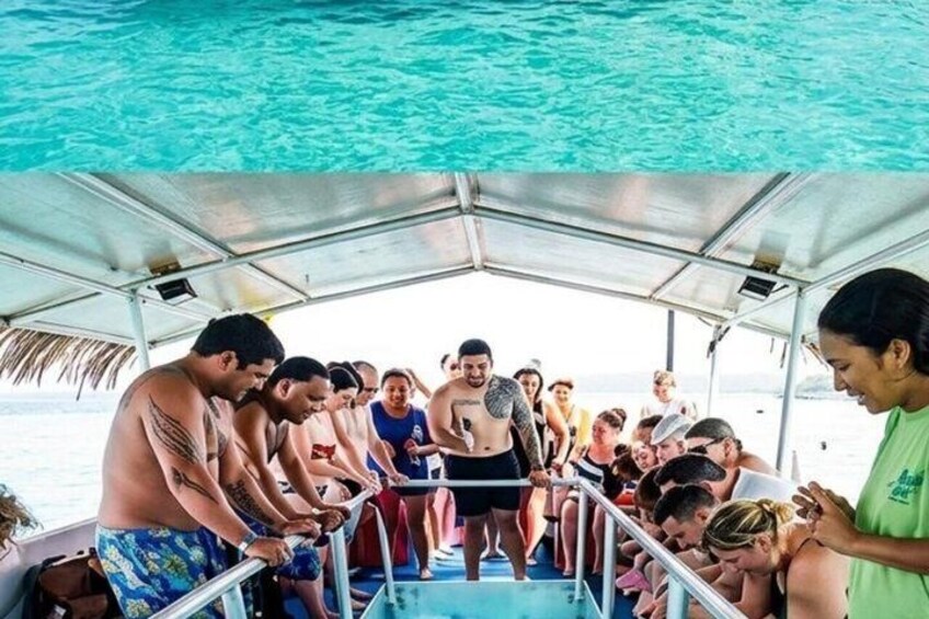 Glass Bottom Boat & Snorkeling Tour in Sosúa, Puerto Plata 3