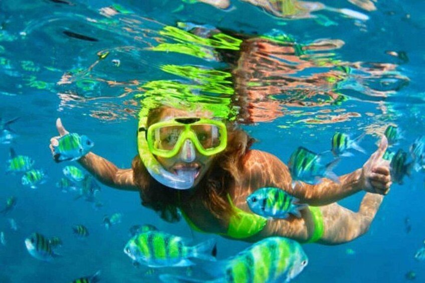 Glass Bottom Boat & Snorkeling Tour in Puerto Plata 5