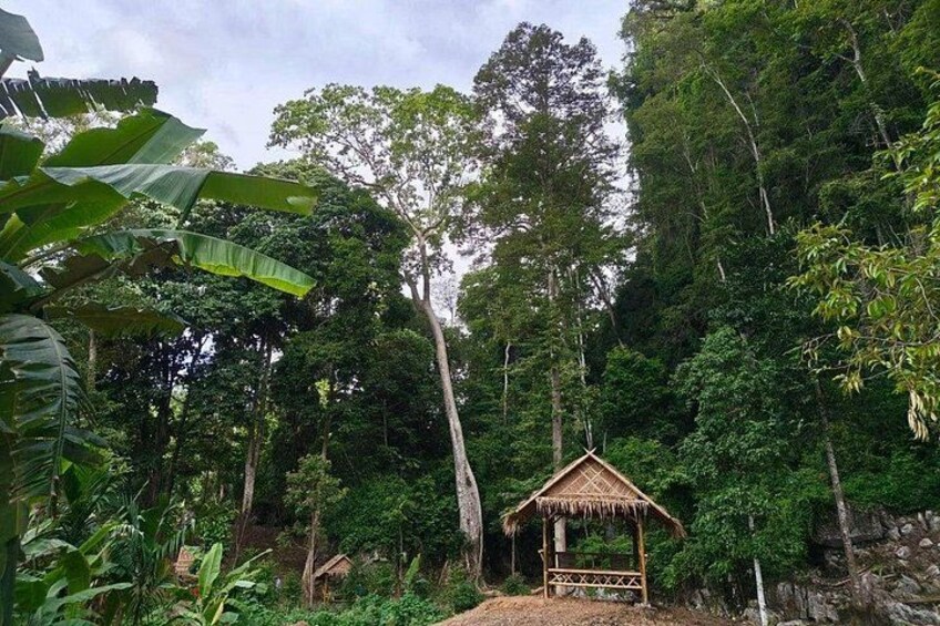 Eine reetgedeckte Hütte, umgeben von dichtem Wald. 5