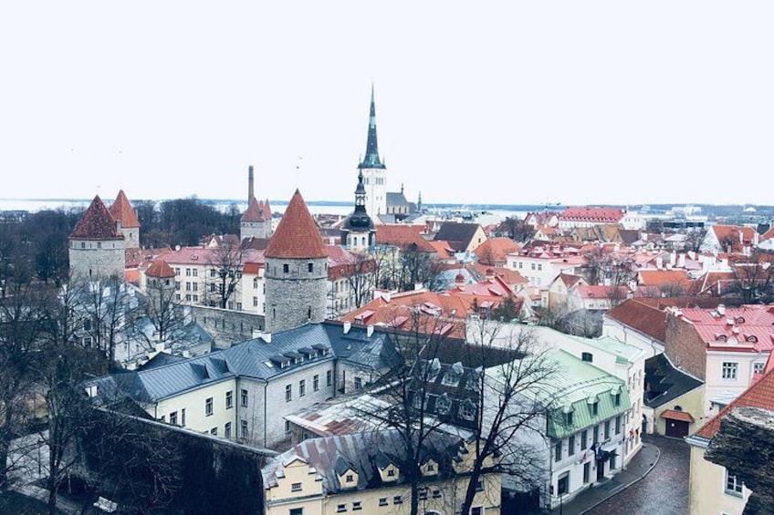 Tallinn Full Day Tour from Helsinki with Hotel Pick-Up 1