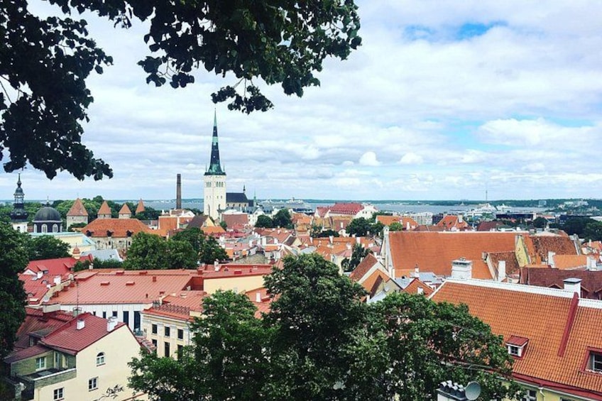 Tallinn Full Day Tour from Helsinki with Hotel Pick-Up 3