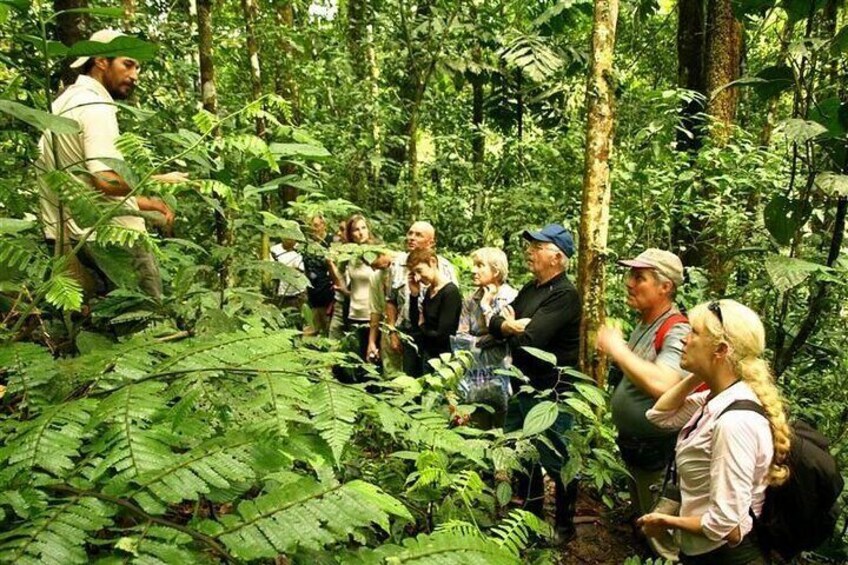 4-Day Amazon Jungle Tour From Iquitos