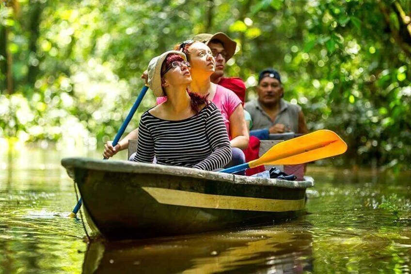 4-Day Amazon Jungle Tour From Iquitos