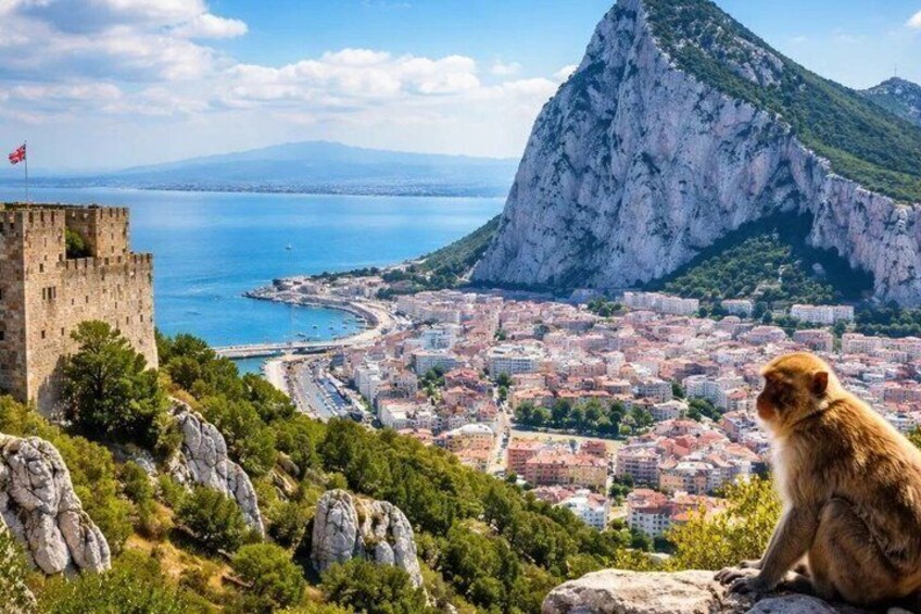 A monkey on a rock overlooking a coastal city with a prominent mountain and a castle. 2