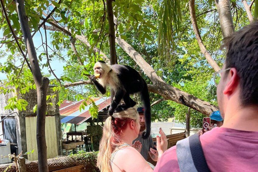 Private Family Adventure Tour to Puntarenas 5