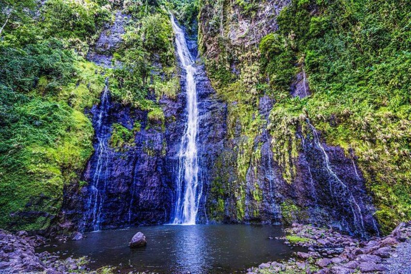 Tahiti Island Discovery – Full Day Private Shore Tour 3