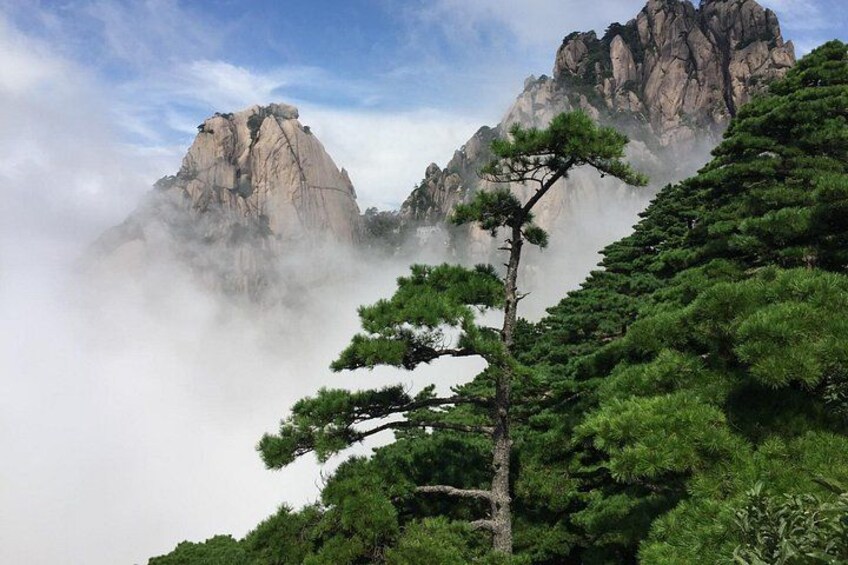 A mountainous landscape with prominent rock formations and dense green pine trees. 3