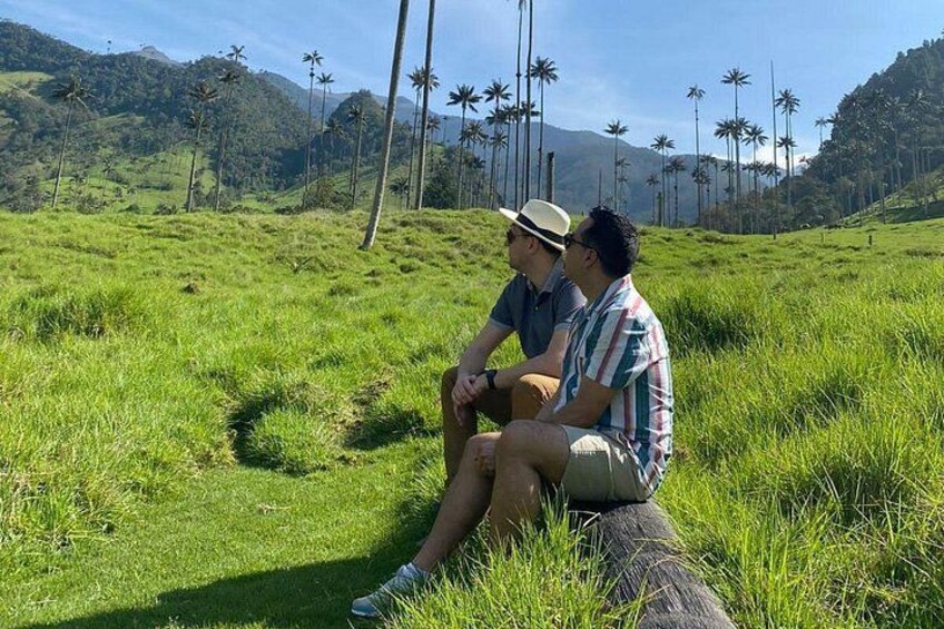 Two people sitting on a rock in a grassy field with palm trees in the background. 5